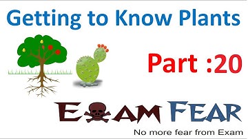 Biology Getting to Know Plants Part 20 (Questions 1) Class 6 VI