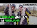 Die 4 WICHTIGSTEN TIPPS zum FORELLEN ANGELN im FRÜHJAHR mit MICHAEL KAHLSTADT