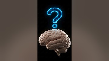 5 Shockingly Unknown Facts About Your Brain 🧠