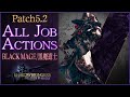 【FF14】黒魔道士のアクション紹介！【パッチ5.2】FFXIV/BLM