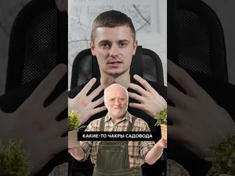 Как правильно размещать растения в интерьере и от каких растений следует избавиться?