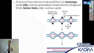 Nükleik Asitler Santral Dogma