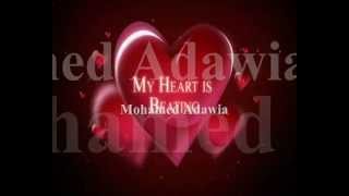 Mohamed Adawia Sebi-Rohek 2011.wmv