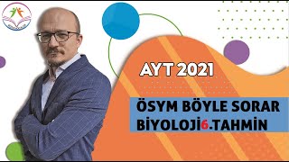 ÖSYM BÖYLE SORAR BİYOLOJİ AYT 6.TAHMİN( Bitki biyolojisi)