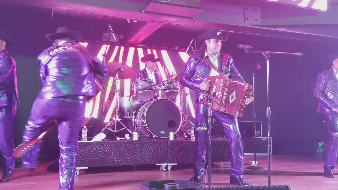 Chepe Terrón en vivo capos de México YouTube