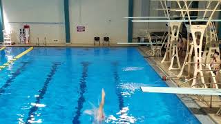 2017 UNCW Men's 1m - Dive 1 - 401A