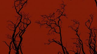 Jakob - Solace Remastered (2017 Album) | Instrumental Post-Rock