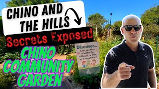 Chino Community Garden: Chino and The Hills Secrets Exposed #chino #chinocommunitygarden #gardening