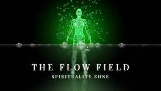 The Flow Field