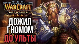 :       Warcraft 3 Reforged