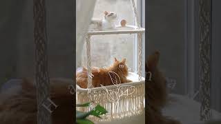 2 Tier Macrame Cat Window Perch-Designed And Handmade By Macramebeautiful