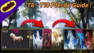 Black Desert Tutorial 2025 📖 | Horse Guide! 🐎 | T8 - T10 Enhancing! 🎲 | German