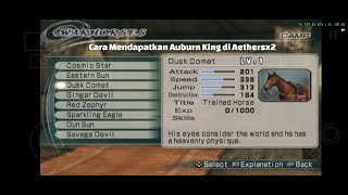 Dynasty Warriors 6 PS2 Cara Mendapatkan Kuda Raja "Auburn King" Menggunakan Time Trick di Aethersx2