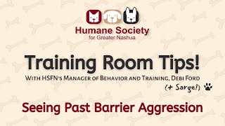 Seeing Past Barrier Aggression in Shelter Pets
