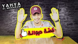 بدايتي في اليويتوب | قصة حيوانة 😍😍