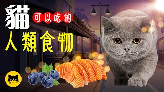 11種貓可以吃的人類食物