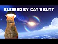 [Genshin Impact] My Friend's Wish is Blessed by her Cat