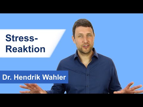 Was passiert bei der Stressreaktion?