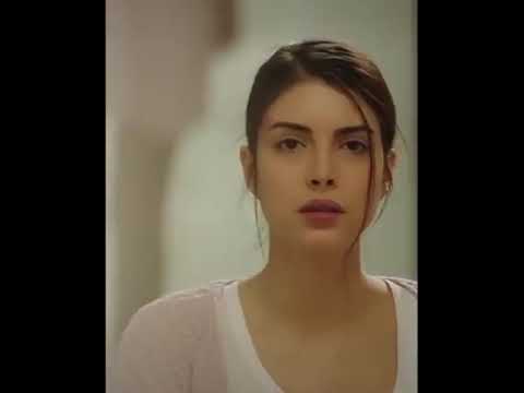 ١٢ ديسمبر ٢٠٢٠