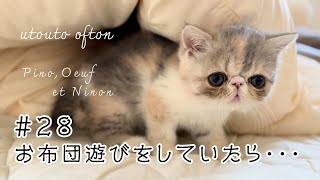 【ニノン】お布団遊びをしていたら… by うとうとおふとん 3,733 views 8 months ago 1 minute, 25 seconds