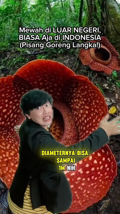 THE RAFLESIA FLOWER FROM MALAYSIA? Seriously! #uniquefacts