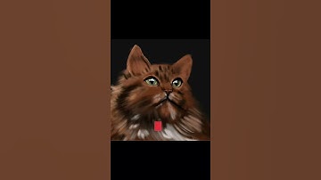Cat | Procreate time lapse