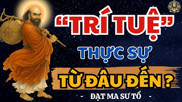 TRÍ TUỆ bắt đầu TỪ ĐÂU? Bồ Đề Đạt Ma khai thị Rất Hay