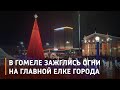 Новогодняя красавица зажгла огни на центральной площади Гомеля