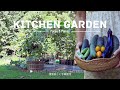 The Productive Summer Kitchen Cook With What My Garden Gives Me Slow Living ASMR Cooking mp3