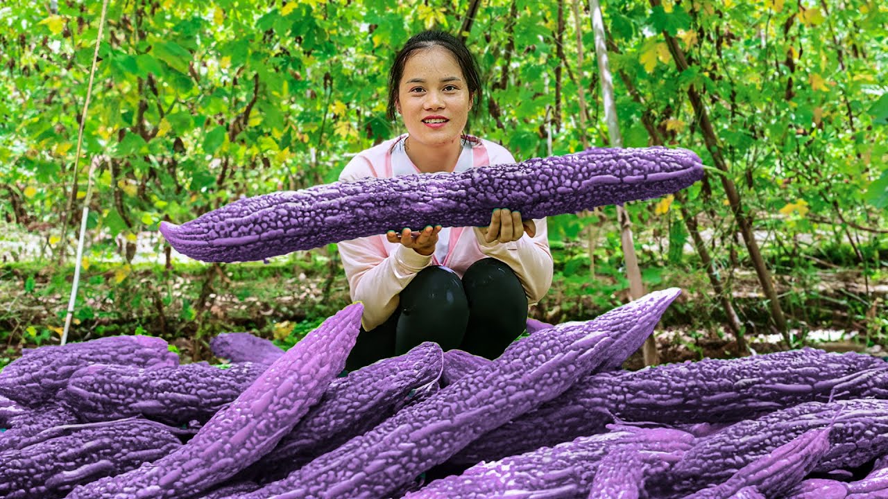 その他 Bitter melon Monster Purple Sky maxresdefault.jpg