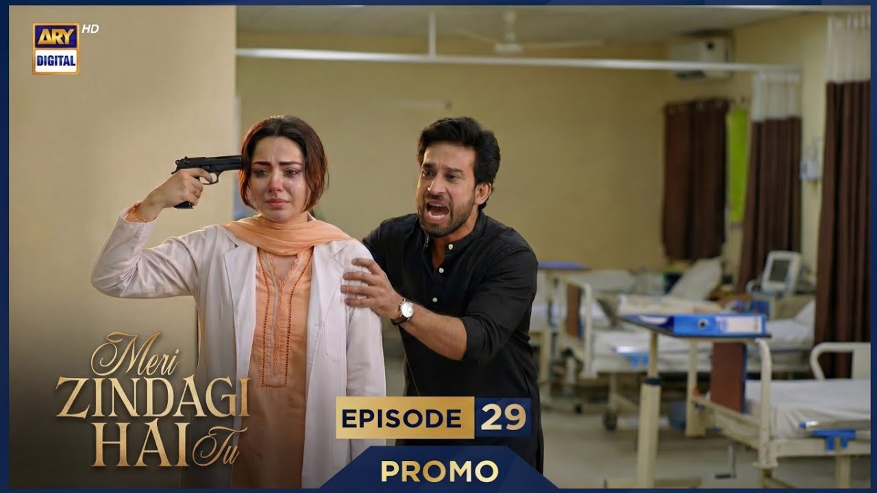 Meri Zindagi hai Tu Episode 29 Promo | Meri Zindagi hai Tu Episode 29 Teaser | Ary Digital | MZHT 