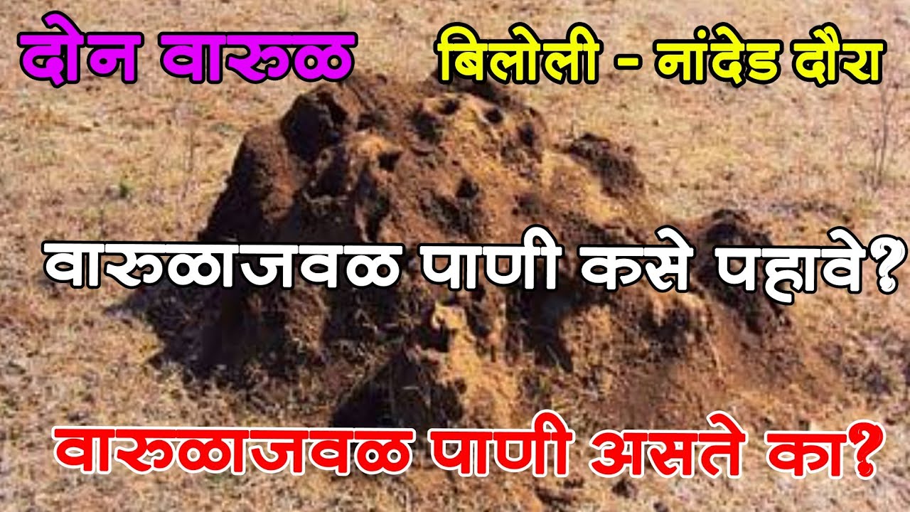 दोन वारूळ - वारुळाजवळ पाणी कसे पहावे ? वरुळाजवळ पाणी असते का ?