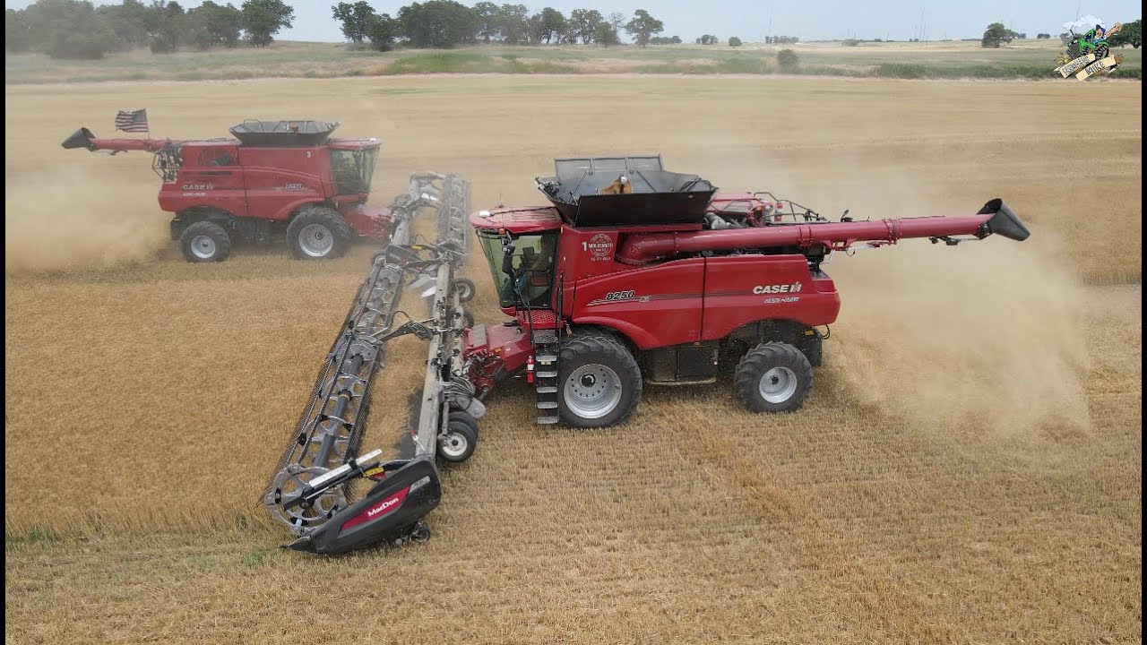 FIRST Wheat Harvest Video of the Year Wolgemuth Bros Harvesting in
