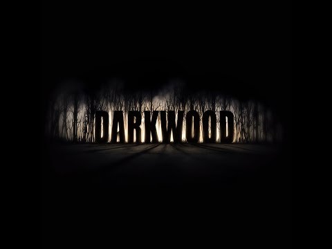 Video: Vývojár Spoločnosti Darkwood Acid Wizard O Nejednoznačnosti, Humore A Strachu Z Neznámeho