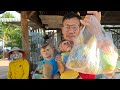 Monkey Baby Smart goes to buy fruit with grandpa