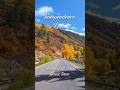 Peak Fall Colors on Independence Pass Colorado