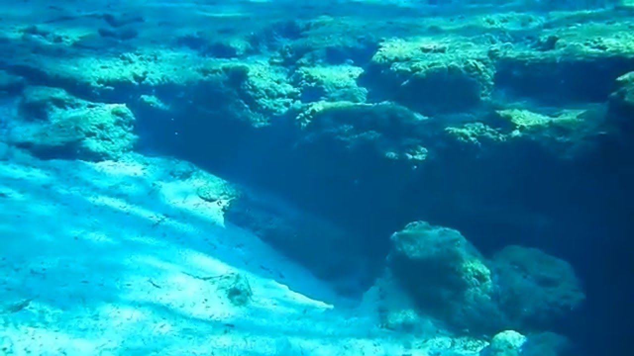 Ginnie Springs on a cold fall morning YouTube