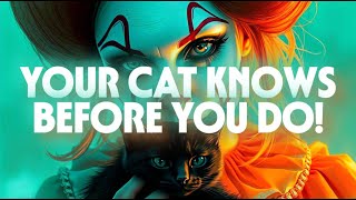 The Science Of Fear Why We Love Being Scared?