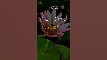 Surah Ad-Duha سورة الضحى In The Beautiful Voice