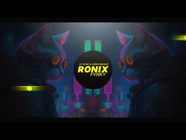 DJ I Like This ||DJ Xlow Mengkane Ft Ronix Fvnky class=