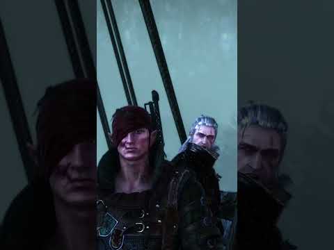 ХАОС ФЛОТЗАМА ◆ The Witcher 2 #shorts