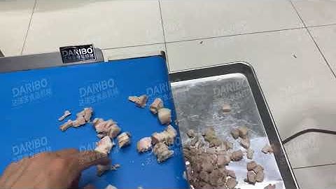 Meat Slicer:Cutting Cooked Pork Belly