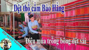 Không khí làm việc tại thổ cẩm Bảo Hằng Ngọc Lặc | Hội người Mường