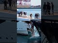 Two luxury yachts collided near the dock—metal scraped, voices rose, and tension thickened