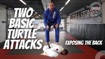 Attacking the Turtle - Exposing the Back