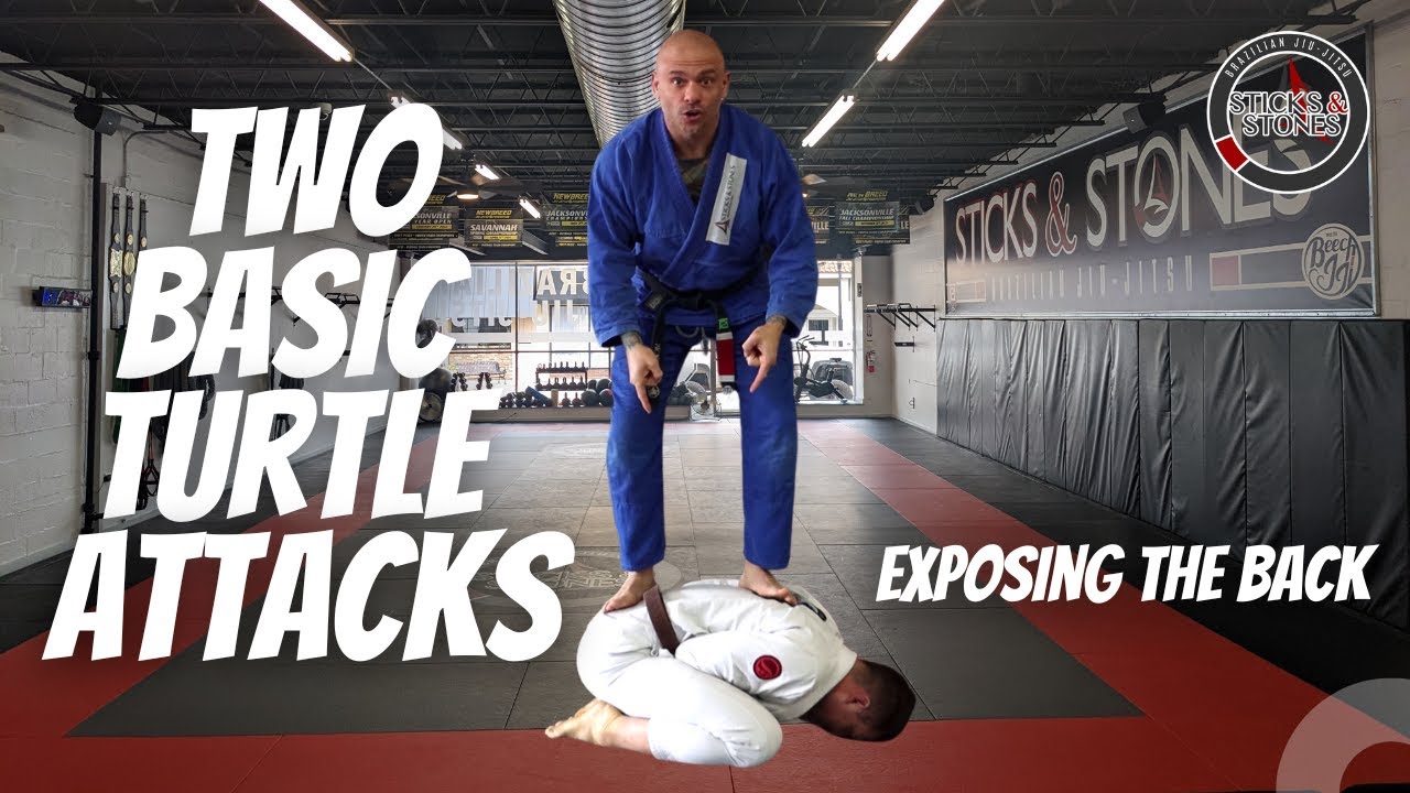 Attacking the Turtle - Exposing the Back - YouTube