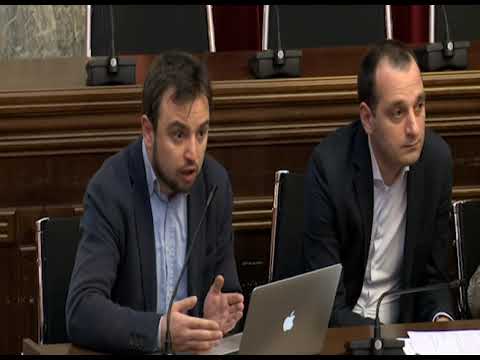 პარლამენტის იურიდიულ საკითხთა კომიტეტის სხდომა ხმაურით მიმდინარეობდა