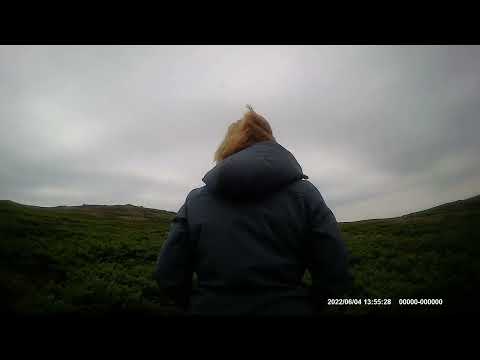 Skomer Island Walk Heading to Welsh Way South Haven Part 26
