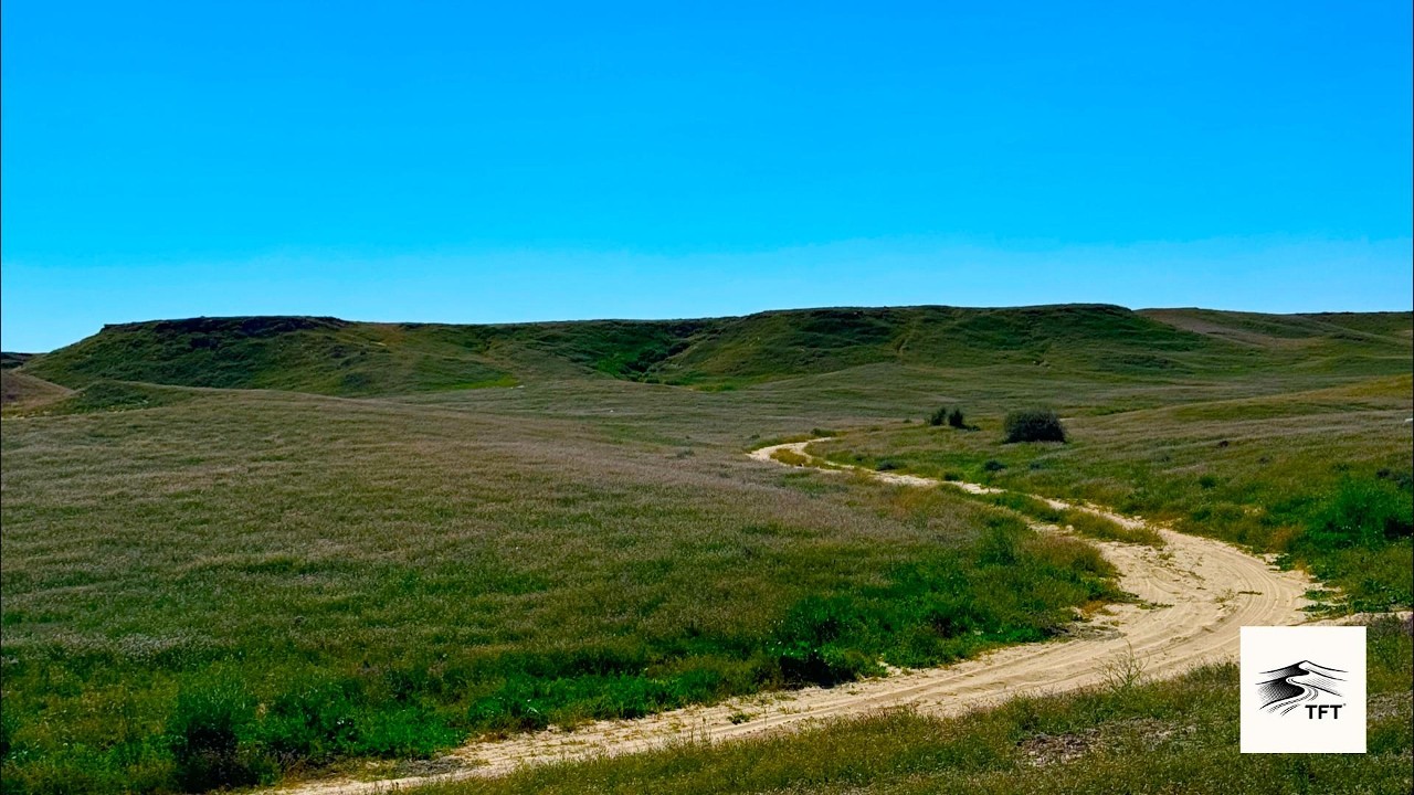 رحلات آمطار و ربيع #الصمان  2026 As' Summan Spring