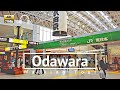 [4K/Binaural] Odawara Walking Tour - Kanagawa Japan